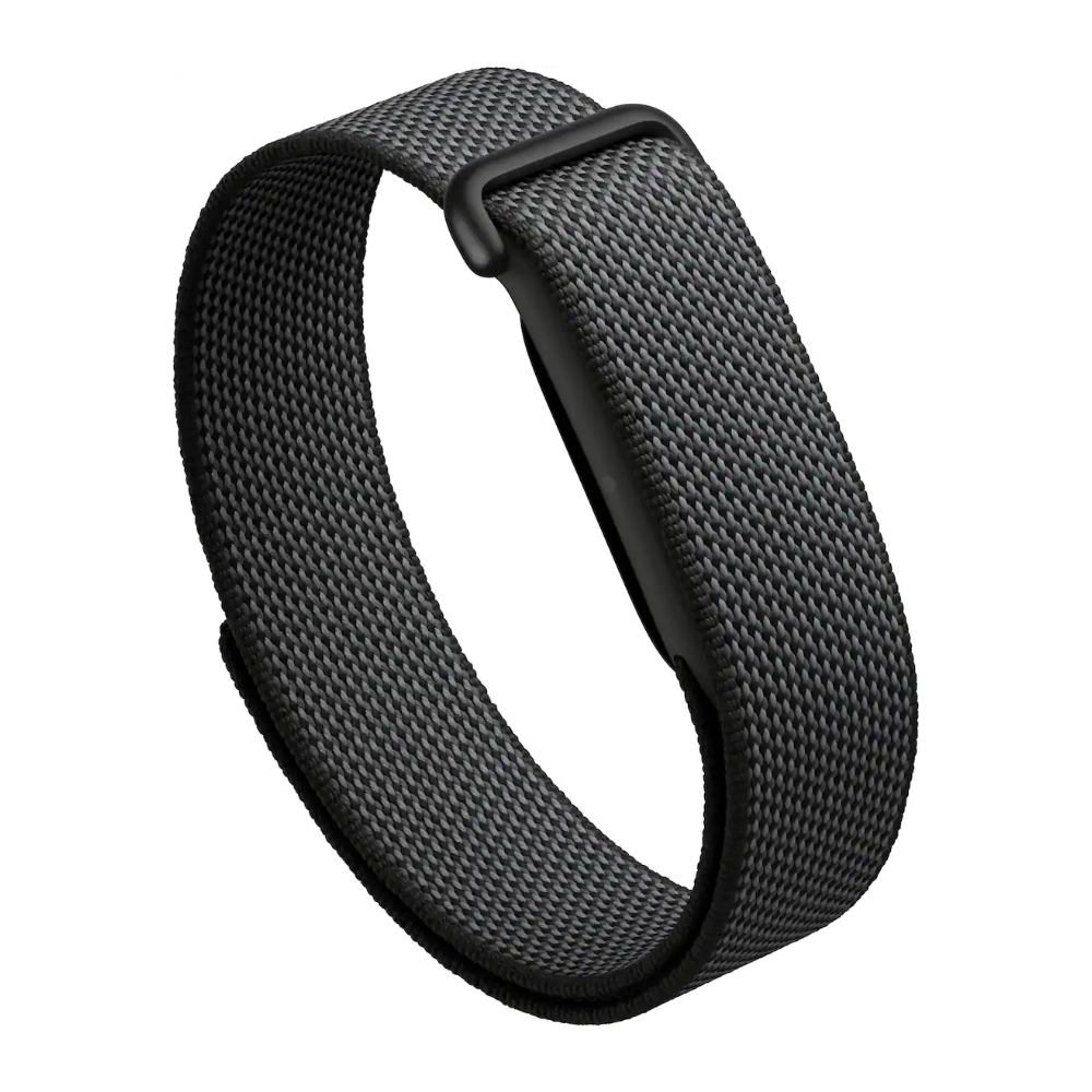 Google Fitbit Air