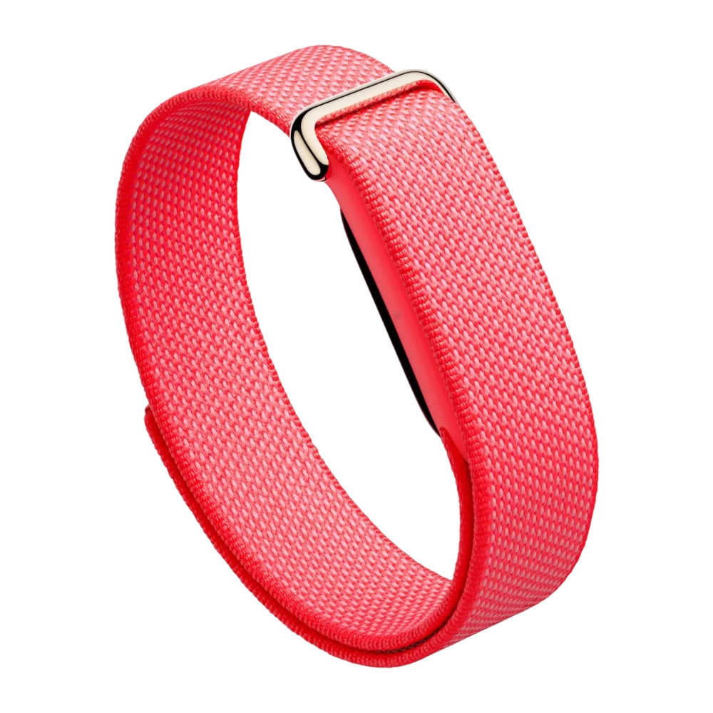 Google Fitbit Air