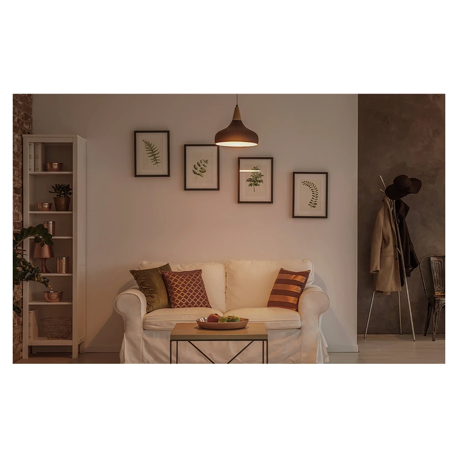 Warm White bulb lighting a complete living room scene