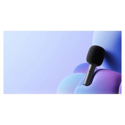 Whole Xiaomi Karaoke Microphone in the official product scene